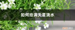 满天星播种后怎么浇水 如何给满天星浇水，怎么施肥才能爆盆