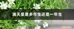 满天星什么时候可以做成干花 满天星是多年生还是一年生，如何做干花
