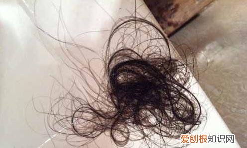 厕所堵了怎么办疏通管道有妙招