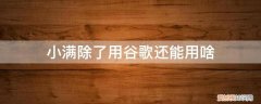 小满软件好用吗 小满除了用谷歌还能用啥