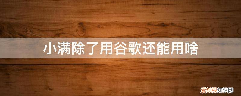 小满软件好用吗 小满除了用谷歌还能用啥