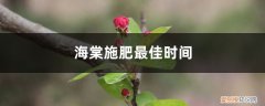 海棠多长时间施一次肥 海棠施肥最佳时间，施肥多了怎么办