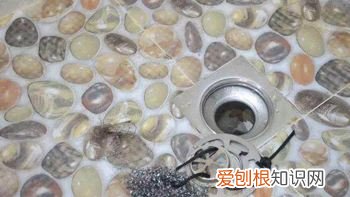 疏通厕所下水道有妙招 这样做瞬间通了！