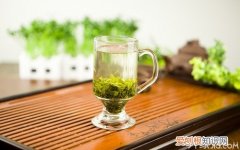 瘦人喝什么茶好喝什么茶对眼睛好