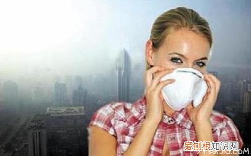 预防雾霾的方法有哪些,预防雾霾的方法有哪些图片