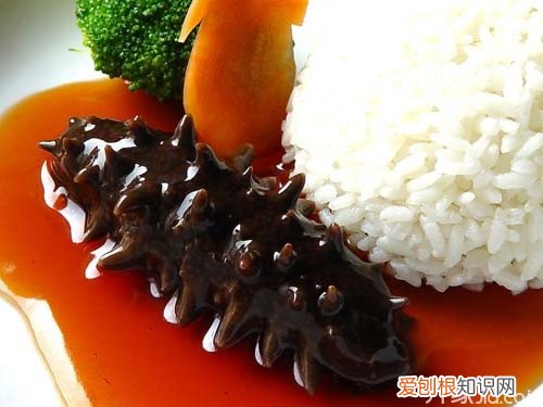海参有什么功效 海参的食用方法是什么？