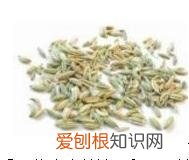 茴香精油的功效与作用有哪些，食用茴香精油
