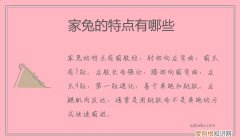属于家兔一般特征的是 家兔的特点有哪些