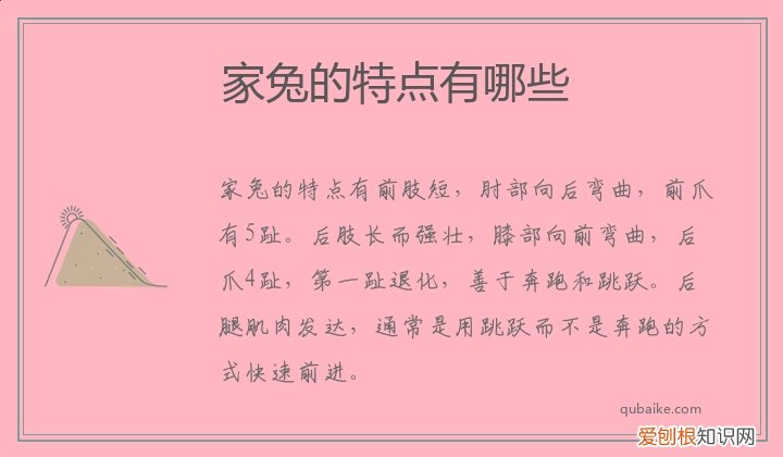 属于家兔一般特征的是 家兔的特点有哪些