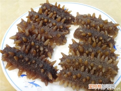 水发海参制作方法 水发海参多少钱一斤