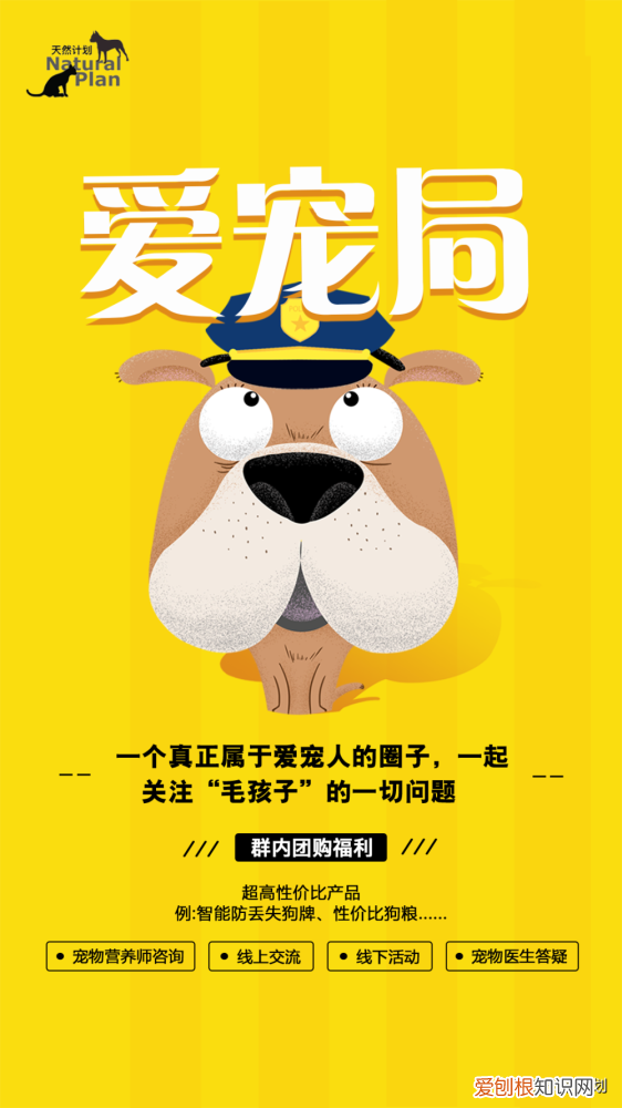 动物粪便垃圾分类，养宠人必备——宠物垃圾分类指南