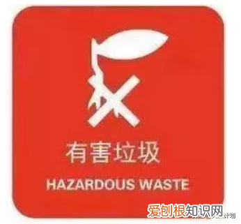 动物粪便垃圾分类，养宠人必备——宠物垃圾分类指南