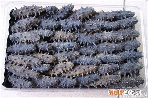 淡干海参和盐干海参的区别 哪个比较有营养