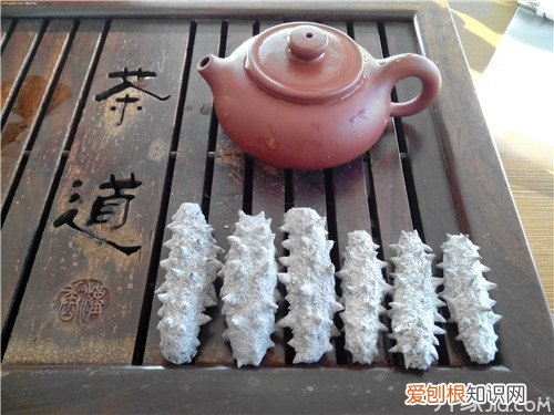 淡干海参和盐干海参的区别 哪个比较有营养