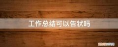 工作总结可以告状吗 工作总结可以告状吗