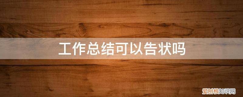 工作总结可以告状吗 工作总结可以告状吗