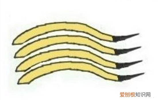 金渐层11与12区别 如何区分金渐层的11和12