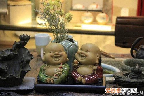 茶宠怎么养茶宠的讲究有哪些