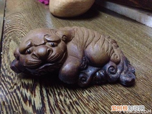 茶宠怎么养茶宠的讲究有哪些