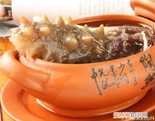 揭秘–海参的功效与作用及食用方法，海参的作用与功效如何食用