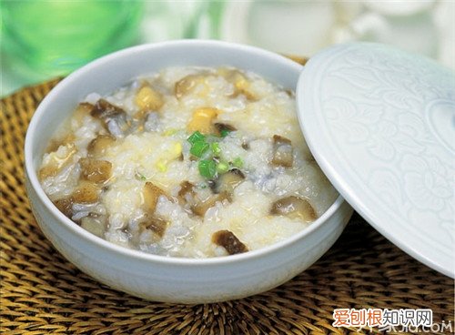揭秘–海参的功效与作用及食用方法，海参的作用与功效如何食用