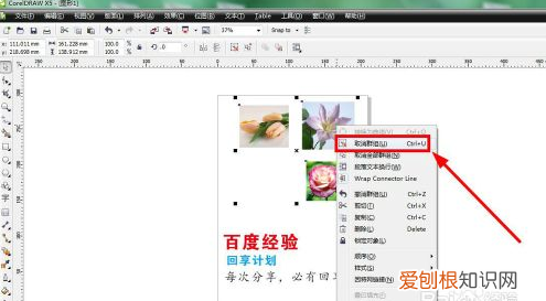 cdr怎么取消群组，cdr编组快捷键是哪个