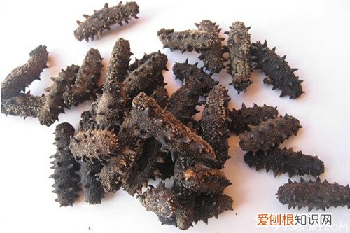 冻干海参和淡干海参的区别 一起来了解