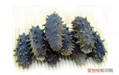 冻干海参和淡干海参的区别 一起来了解