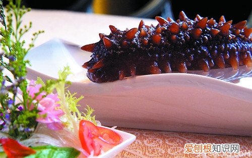 海参的特点海参和刺参的区别