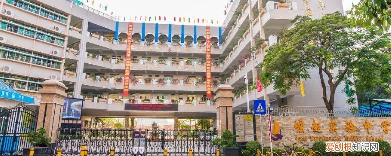 各个高中学校录取分数线2021 崛起高中录取分数线2021