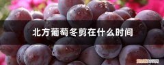 北方葡萄过冬如何修剪图解 北方葡萄冬剪在什么时间，如何修剪图解