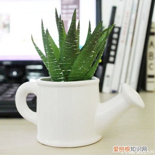 20种常见家居盆景盆栽欣赏，室外盆景植物种类大全