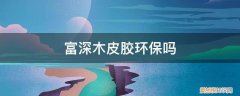 富深木工胶 富深木皮胶环保吗
