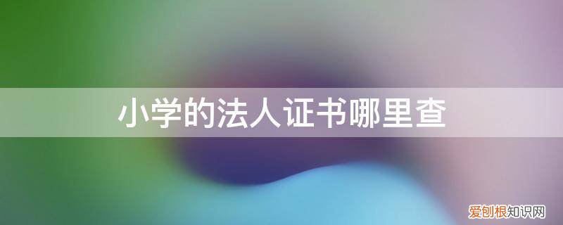 学校法人证书怎么查询 小学的法人证书哪里查