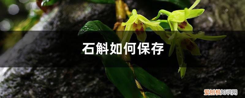 石斛如何保存,干石斛有没有保质期呢 石斛如何保存，干石斛有没有保质期