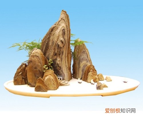 常见室内盆景大全 为家居生活增添乐趣