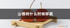 山楂树几月份移栽能活 山楂树什么时候移栽，山楂树怎么移栽