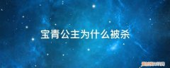 宝青公主结局 宝青公主为什么被杀