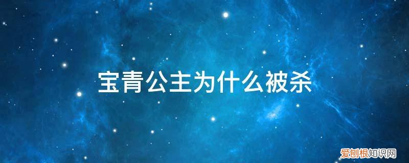 宝青公主结局 宝青公主为什么被杀