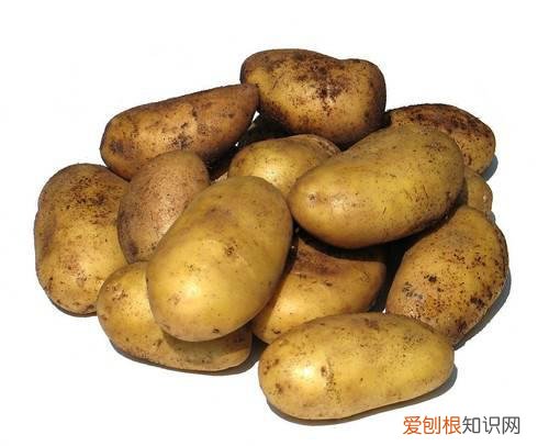 晚上吃什么有助于睡眠 最适合睡前吃的安眠食物推荐
