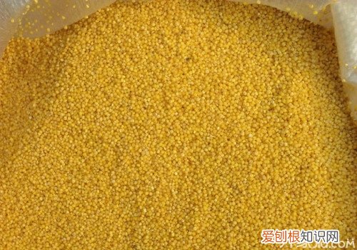 吃什么食物有助于睡眠 推荐12种提高睡眠的食物