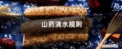 山药的管理与浇水要点 山药浇水规则，山药浇水什么时候是关键