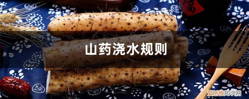山药的管理与浇水要点 山药浇水规则，山药浇水什么时候是关键