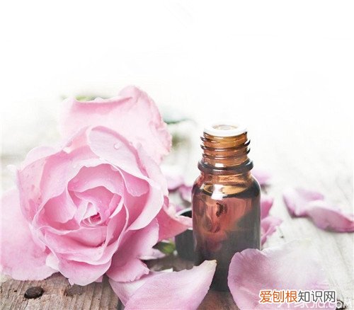 玫瑰精油哪个牌子好 玫瑰精油的功效