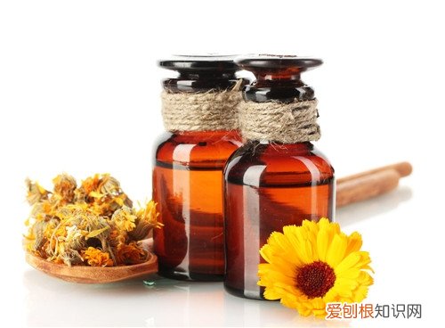精油按摩的方法 按摩精油哪个牌子好