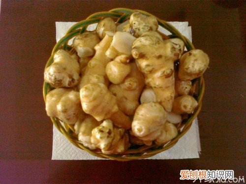 孕妇能吃洋姜吗 洋姜的功效与作用