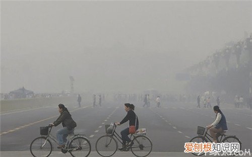 中国空气污染现状 防止空气污染的措施