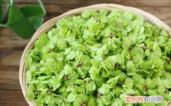 榆钱怎么长时间保存，榆钱能直接冷冻的储存方法