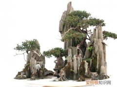 石头盆景制作方法喜欢的朋友看过来