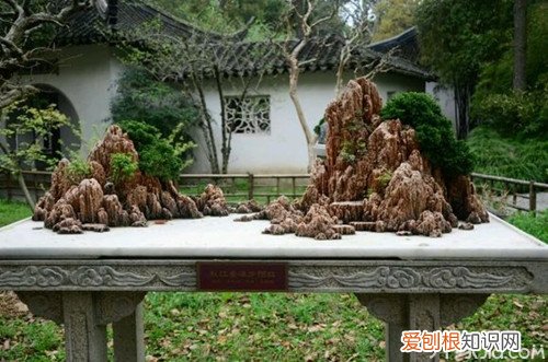 石头盆景制作方法喜欢的朋友看过来